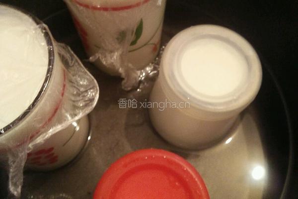 自制老酸奶的做法图解4