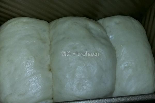 牛奶吐司的做法图解9