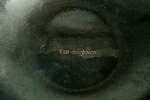 培根卷的做法图解3