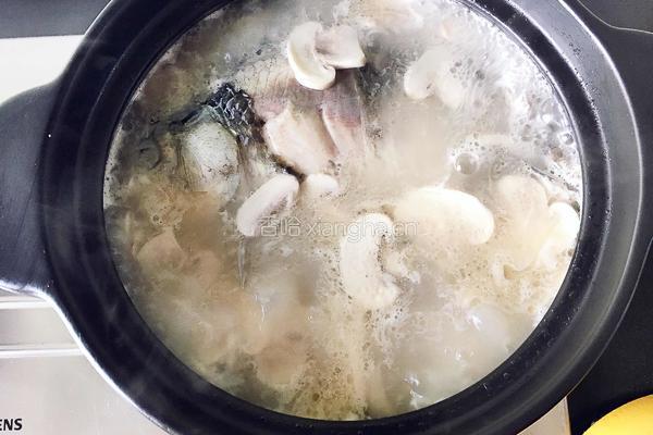 山药鲫鱼汤的做法图解8