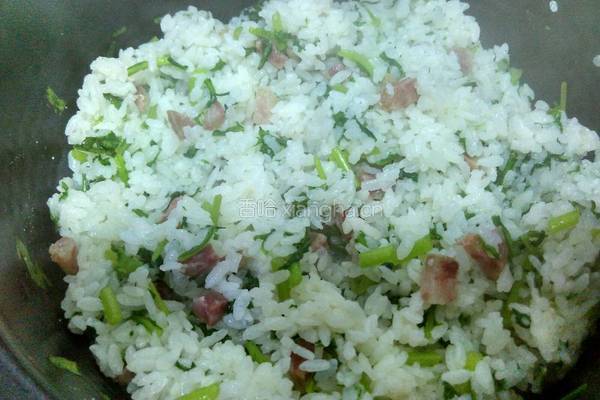 茼蒿香肠菜饭的做法图解6