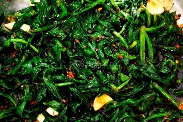 芹菜叶咸菜。的做法图解8