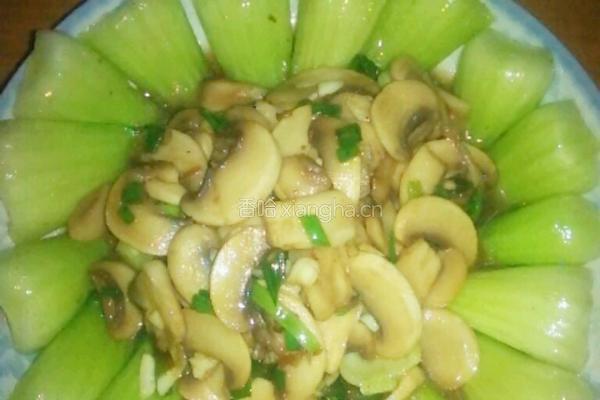 油菜炒香菇的做法图解4