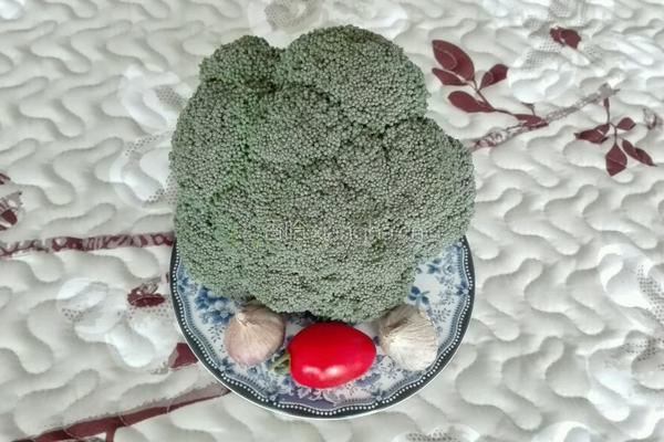 春暖花开的做法图解1