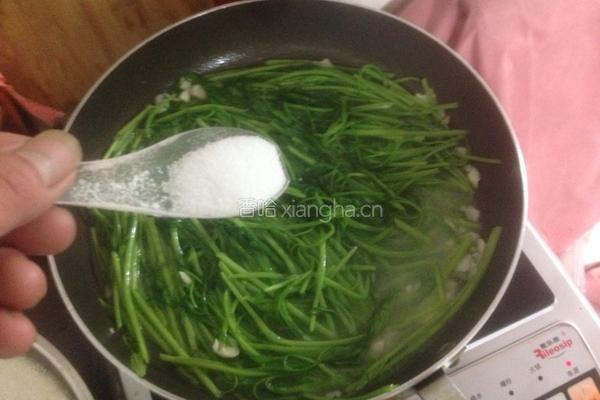 蒜蓉通心菜的做法图解7