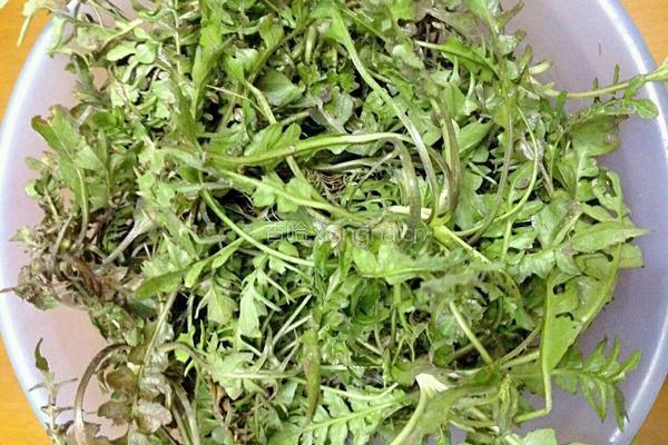 荠菜圆子的做法图解3