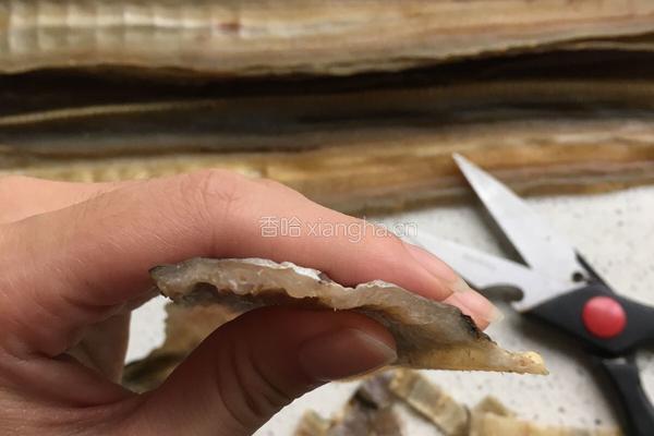 香煎鳝鱼干的做法图解5