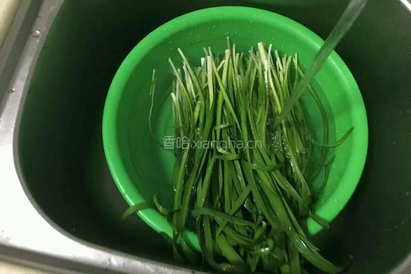 韭菜银芽的做法图解1