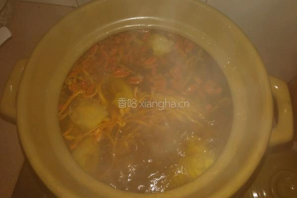 虫草花煲老母鸡汤