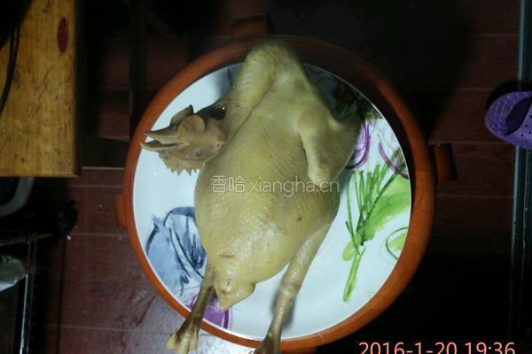 白切土鸡的做法图解3