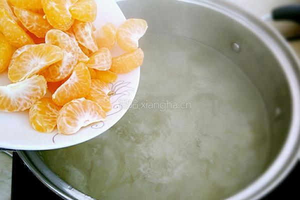 桔子银耳糖水的做法图解5