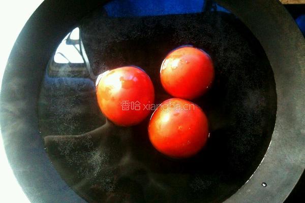 番茄炖排骨的做法图解5