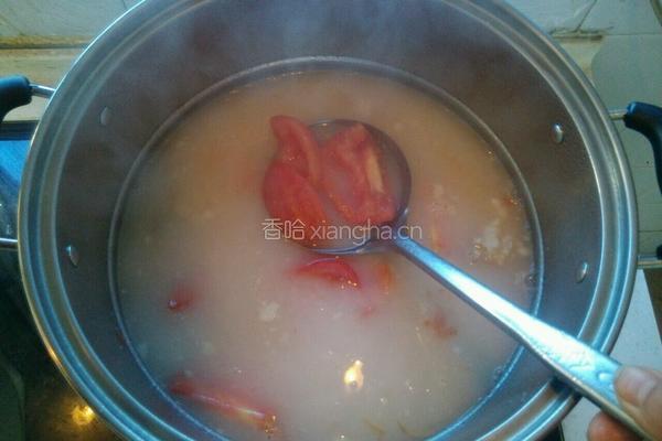 番茄炖排骨的做法图解14
