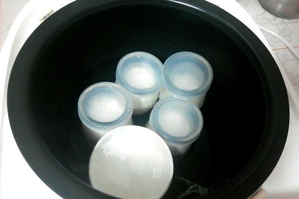 电饭锅酸奶的做法图解11