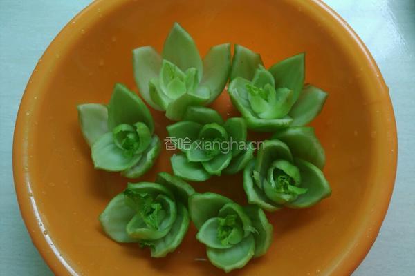 翡翠莲花的做法图解5