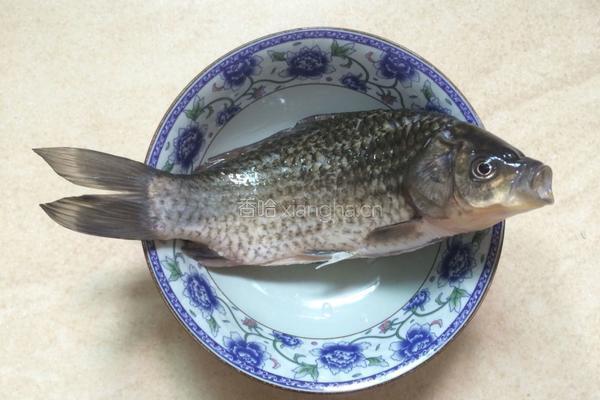鲫鱼虾汤的做法图解2