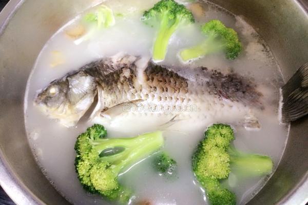 鲫鱼虾汤的做法图解8