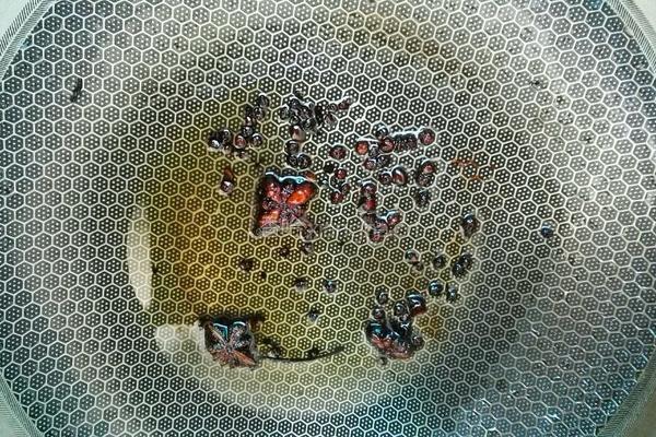 清蒸红仓晶鱼的做法图解7