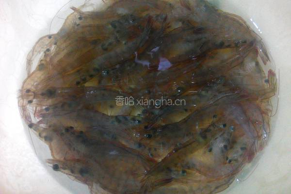 白灼虾的做法图解1