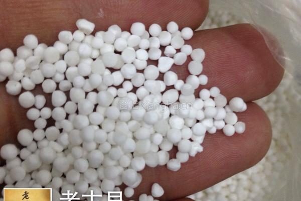 花胶椰汁牛奶冻的做法图解3