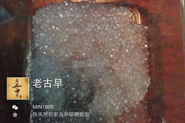 花胶椰汁牛奶冻的做法图解5