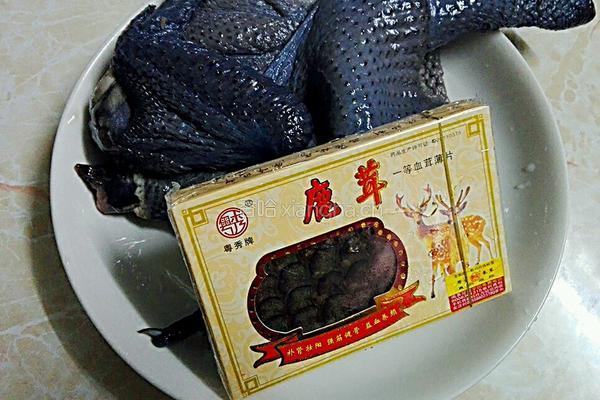 鹿茸乌鸡汤的做法图解2