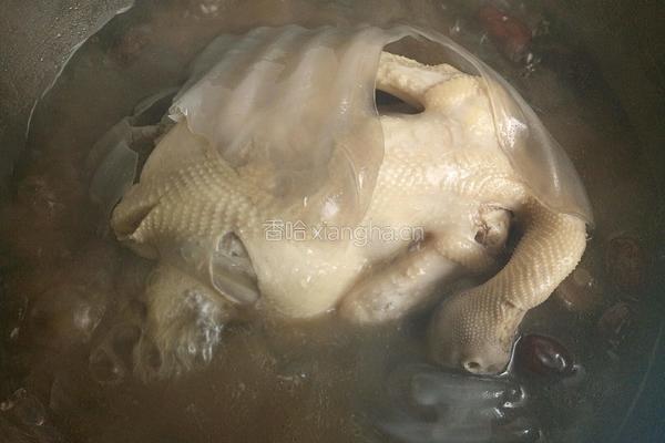 香菇粉皮参鸡汤煲的做法图解15