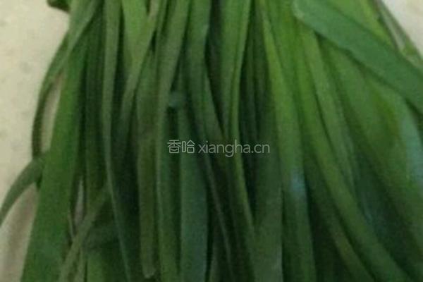 韭菜炒银芽的做法图解1