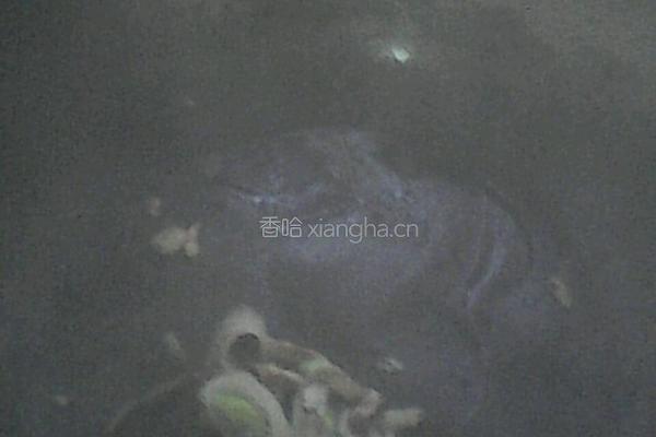炖鸡腿的做法图解4