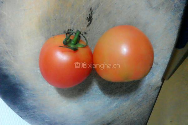 番茄豆腐焖的做法图解4