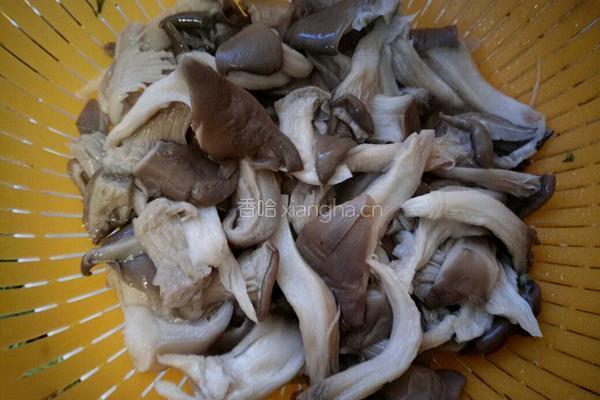 家常蘑菇炒鸡蛋的做法图解3