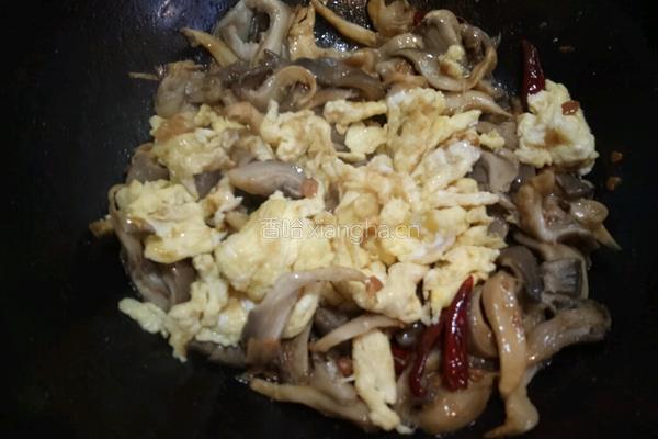 家常蘑菇炒鸡蛋的做法图解15