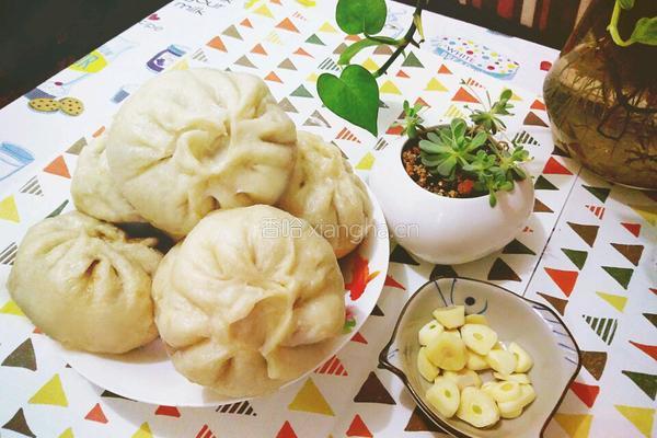 白菜剩扣肉包子