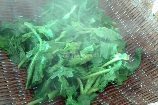 清炒油菜尖的做法图解3