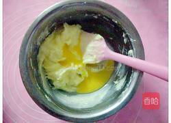 蔓越莓饼干的做法图解5