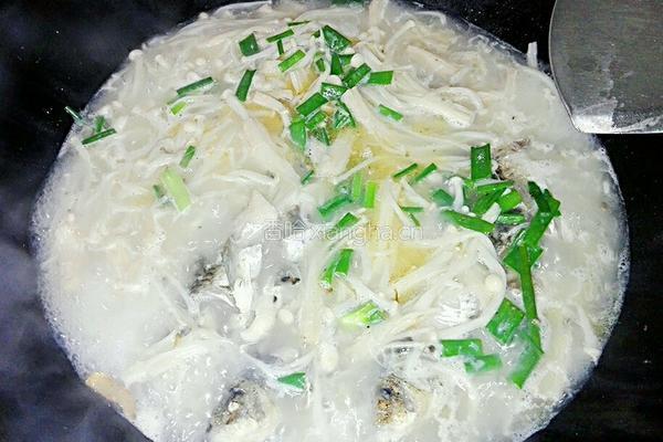 金针菇鲫鱼汤的做法图解8