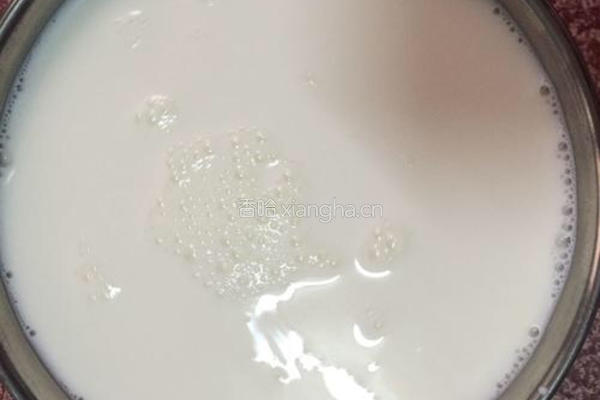 自制酸奶的做法图解4
