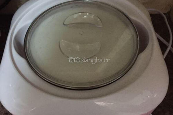 自制酸奶的做法图解7