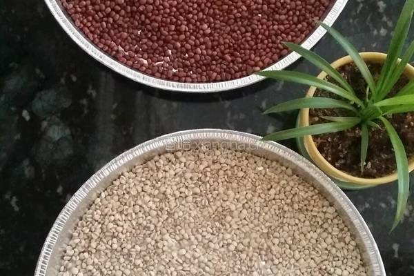红豆薏米糊的做法图解1