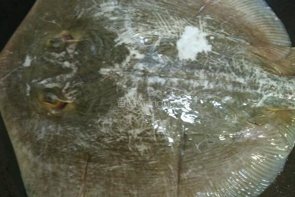 蒸酸辣浦鱼的做法图解3