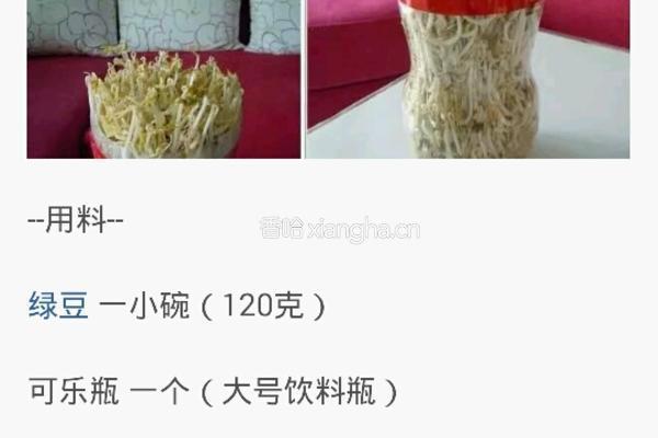 自制豆芽的做法图解1
