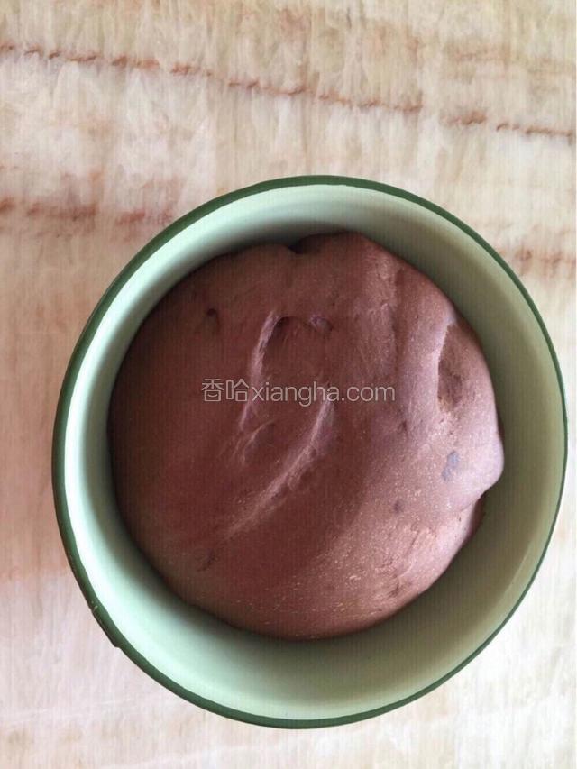 发到两倍大小后 从烤箱取出