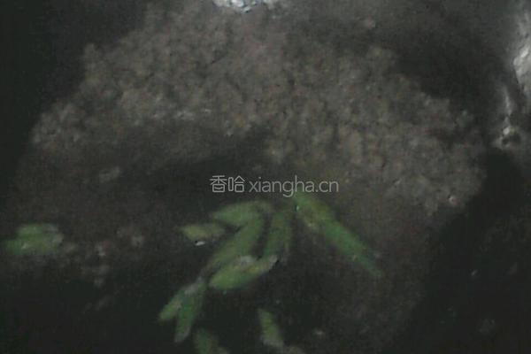 肉末豆腐的做法图解3