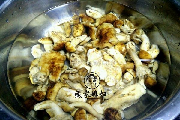 藏家盐渍菌炖土鸡的做法图解3