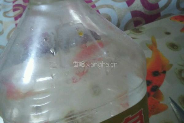 塑料豆油桶栽蒜苗的做法图解1