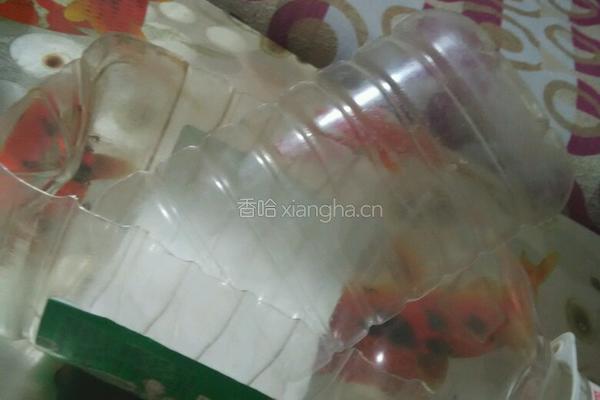 塑料豆油桶栽蒜苗的做法图解2