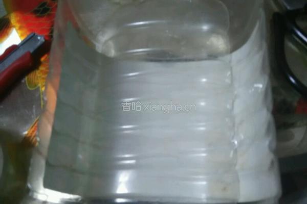 塑料豆油桶栽蒜苗的做法图解4