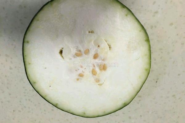 冬瓜竹荪鲜肉汤的做法图解4