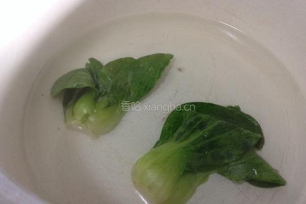 清炖狮子头的做法图解16
