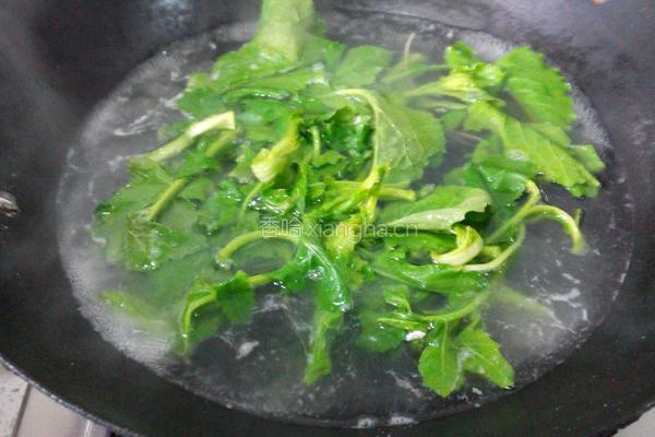翡翠银丝汇金针的做法图解2